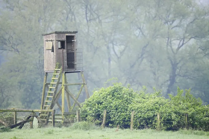 Gerahmter Druck : Hoher Sitz auf einem Wiesen im Frühling. Gerahmter Druck : Hoher Sitz auf einem Wiesen im Frühling.