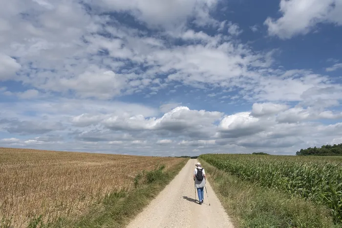 Gerahmter Druck : Wanderer auf einem Feldweg, bewölktem Himmel. Gerahmter Druck : Wanderer auf einem Feldweg, bewölktem Himmel.