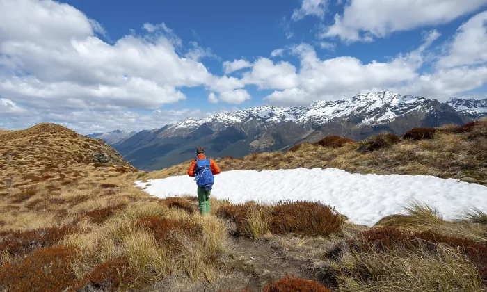 Gerahmter Druck : Wanderer auf dem Gipfel des Mount Alfred. Gerahmter Druck : Wanderer auf dem Gipfel des Mount Alfred.