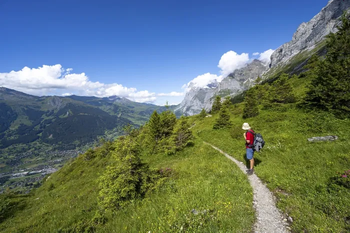 Gerahmter Druck : Wanderer auf dem Eigertrail. Gerahmter Druck : Wanderer auf dem Eigertrail.