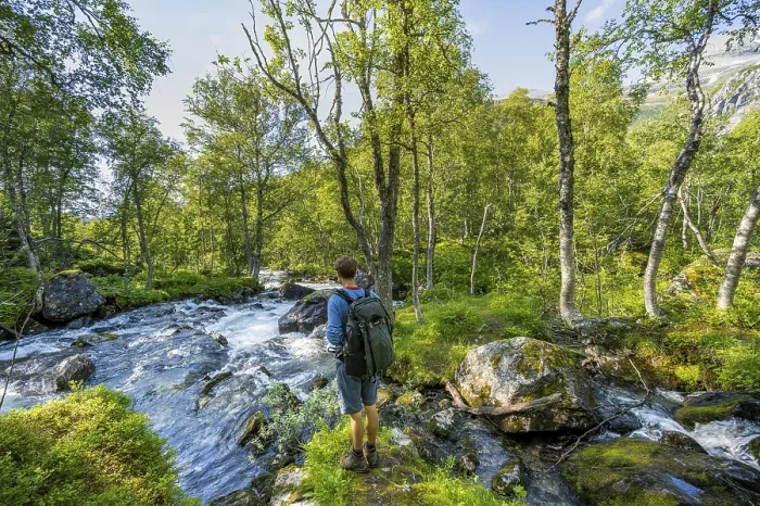 Gerahmter Druck : Wanderer in einem Wald am Fluss zwischen Birken. Gerahmter Druck : Wanderer in einem Wald am Fluss zwischen Birken.