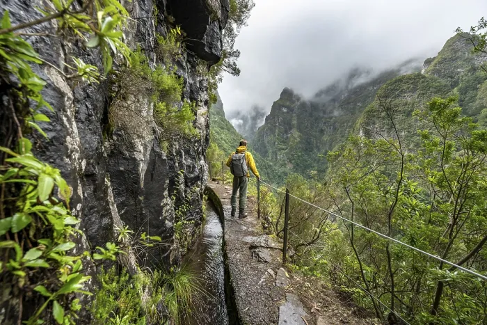 Gerahmter Druck : Wanderer auf einem schmalen Pfad entlang einer Levada. Gerahmter Druck : Wanderer auf einem schmalen Pfad entlang einer Levada.
