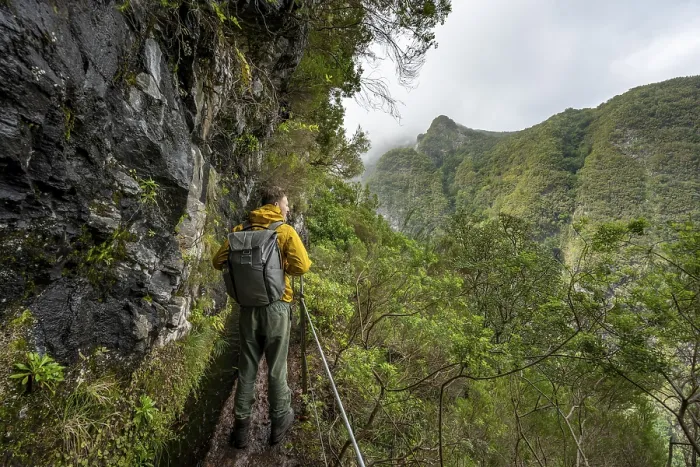 Gerahmter Druck : Wanderer auf einem schmalen Pfad entlang einer Levada. Gerahmter Druck : Wanderer auf einem schmalen Pfad entlang einer Levada.