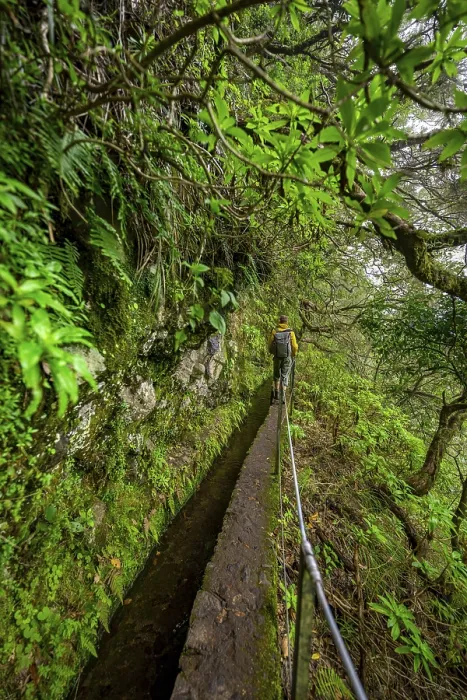Gerahmter Druck : Wanderer auf einem schmalen Pfad entlang einer Levada. Gerahmter Druck : Wanderer auf einem schmalen Pfad entlang einer Levada.