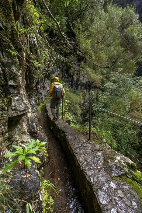 Gerahmter Druck : Wanderer auf einem schmalen Pfad entlang einer Levada. Gerahmter Druck : Wanderer auf einem schmalen Pfad entlang einer Levada.