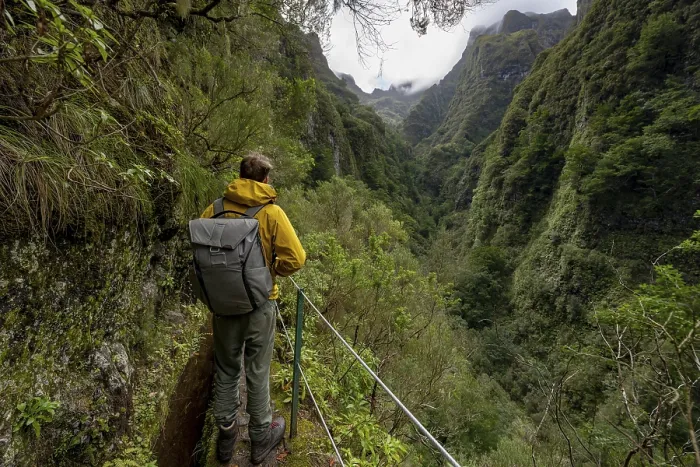 Gerahmter Druck : Wanderer auf einem schmalen Pfad entlang einer Levada. Gerahmter Druck : Wanderer auf einem schmalen Pfad entlang einer Levada.