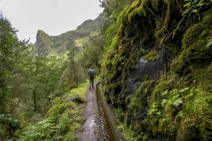 Gerahmter Druck : Wanderer auf einem schmalen Pfad entlang einer Levada. Gerahmter Druck : Wanderer auf einem schmalen Pfad entlang einer Levada.