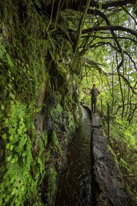 Gerahmter Druck : Wanderer auf einem schmalen Pfad entlang einer Levada. Gerahmter Druck : Wanderer auf einem schmalen Pfad entlang einer Levada.