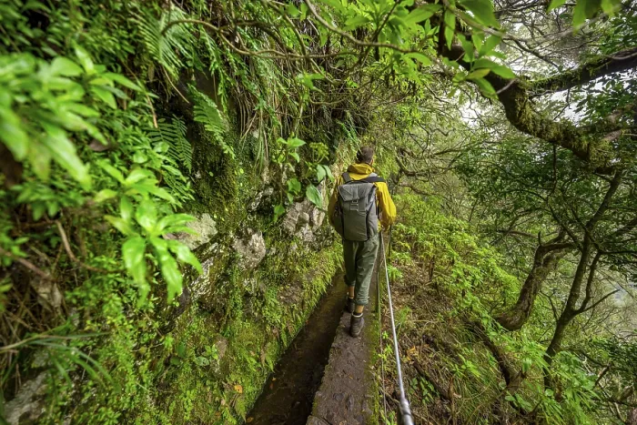 Gerahmter Druck : Wanderer auf einem schmalen Pfad entlang einer Levada. Gerahmter Druck : Wanderer auf einem schmalen Pfad entlang einer Levada.