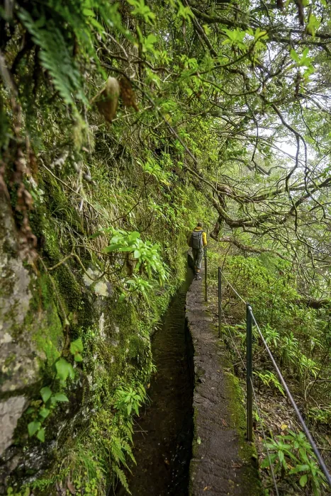 Gerahmter Druck : Wanderer auf einem schmalen Pfad entlang einer Levada. Gerahmter Druck : Wanderer auf einem schmalen Pfad entlang einer Levada.