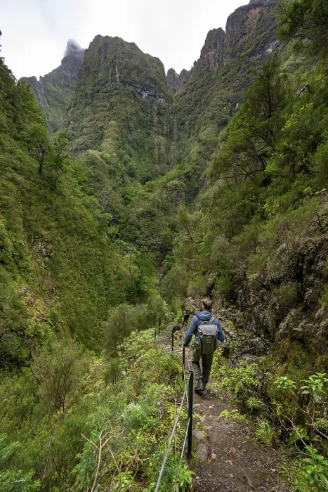 Gerahmter Druck : Wanderer auf einem schmalen Pfad entlang einer Levada. Gerahmter Druck : Wanderer auf einem schmalen Pfad entlang einer Levada.