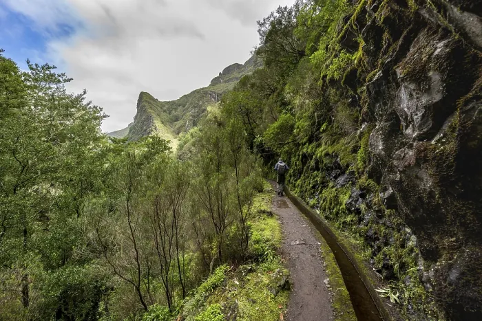 Gerahmter Druck : Wanderer auf einem schmalen Pfad entlang einer Levada. Gerahmter Druck : Wanderer auf einem schmalen Pfad entlang einer Levada.
