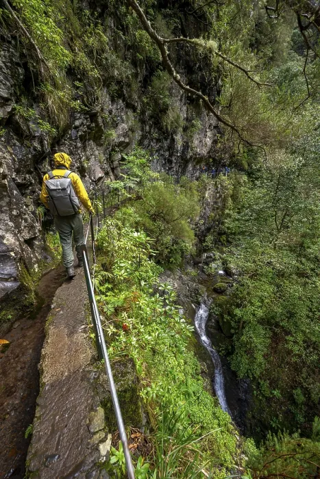 Gerahmter Druck : Wanderer auf einem schmalen Pfad entlang einer Levada. Gerahmter Druck : Wanderer auf einem schmalen Pfad entlang einer Levada.