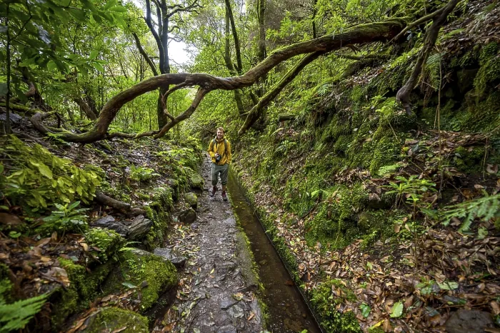 Gerahmter Druck : Wanderer auf einem schmalen Pfad entlang einer Levada. Gerahmter Druck : Wanderer auf einem schmalen Pfad entlang einer Levada.