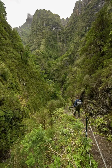 Gerahmter Druck : Wanderer auf einem schmalen Pfad entlang einer Levada. Gerahmter Druck : Wanderer auf einem schmalen Pfad entlang einer Levada.
