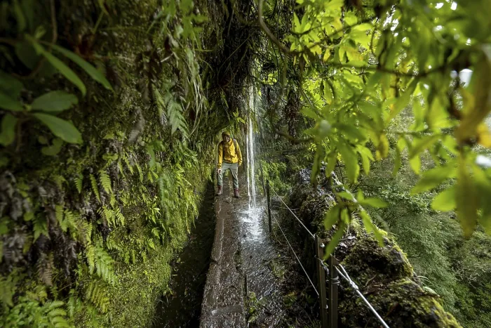 Gerahmter Druck : Wanderer auf einem schmalen Pfad entlang einer Levada mit Wasserfall. Gerahmter Druck : Wanderer auf einem schmalen Pfad entlang einer Levada mit Wasserfall.