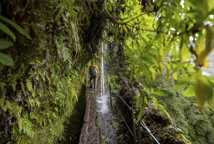 Gerahmter Druck : Wanderer auf einem schmalen Pfad entlang einer Levada mit Wasserfall. Gerahmter Druck : Wanderer auf einem schmalen Pfad entlang einer Levada mit Wasserfall.