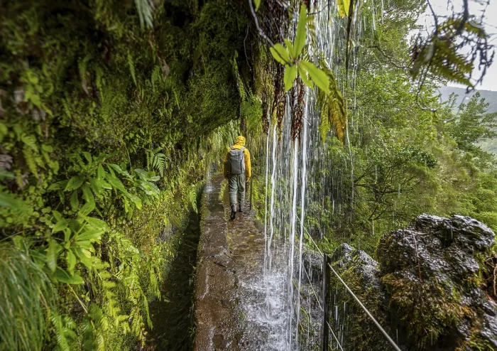 Gerahmter Druck : Hiker auf schmalem Pfad entlang einer Levada mit Wasserfall in dichtem Wald, Levada do Caldeirao Verde, Parque Florestal das Queimadas, Madeira, Portugal Gerahmter Druck : Hiker auf schmalem Pfad entlang einer Levada mit Wasserfall in dichtem Wald, Levada do Caldeirao Verde, Parque Florestal das Queimadas, Madeira, Portugal