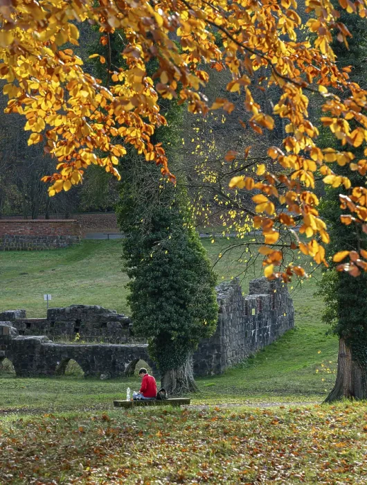 Gerahmter Druck : Wanderer nehmen eine Pause im Wald. Gerahmter Druck : Wanderer nehmen eine Pause im Wald.