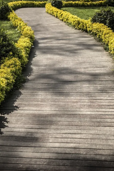 Gerahmter Druck : Wanderweg für das Gehen im Blick. Gerahmter Druck : Wanderweg für das Gehen im Blick.