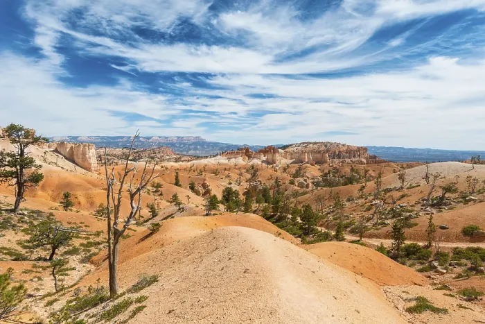 Gerahmter Druck : Wandern, rote Felsformationen. Gerahmter Druck : Wandern, rote Felsformationen.