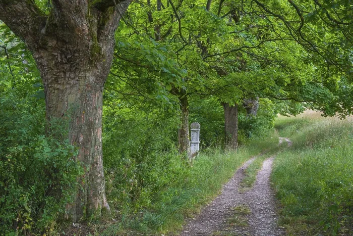 Gerahmter Druck : Wanderweg über Eichstätt Gerahmter Druck : Wanderweg über Eichstätt
