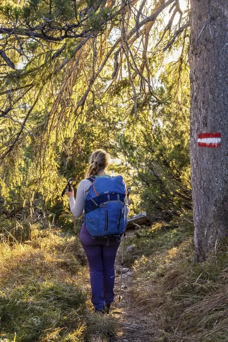 Gerahmter Druck : Wanderweg durch den Wald. Gerahmter Druck : Wanderweg durch den Wald.
