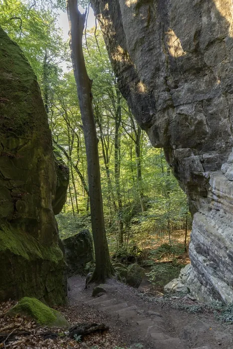 Gerahmter Druck : Wanderweg in Sandsteinfelsen. Gerahmter Druck : Wanderweg in Sandsteinfelsen.