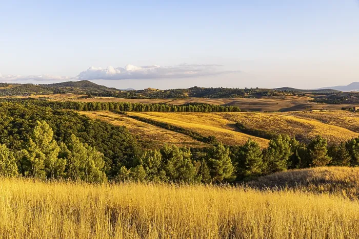Gerahmter Druck : Hügeliger Landschaft bei Abendlicht. Gerahmter Druck : Hügeliger Landschaft bei Abendlicht.