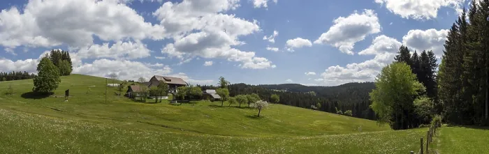 Gerahmter Druck : Hügeliges Landschaft mit Wiesen und Wald. Gerahmter Druck : Hügeliges Landschaft mit Wiesen und Wald.