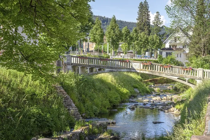 Gerahmter Druck : Historischer Brücke in der Sonne. Gerahmter Druck : Historischer Brücke in der Sonne.