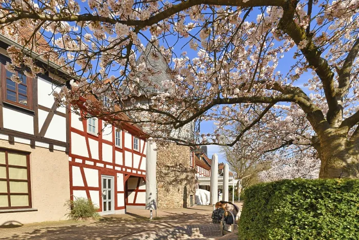 Gerahmter Druck : Hofheim, Deutschland Gerahmter Druck : Hofheim, Deutschland