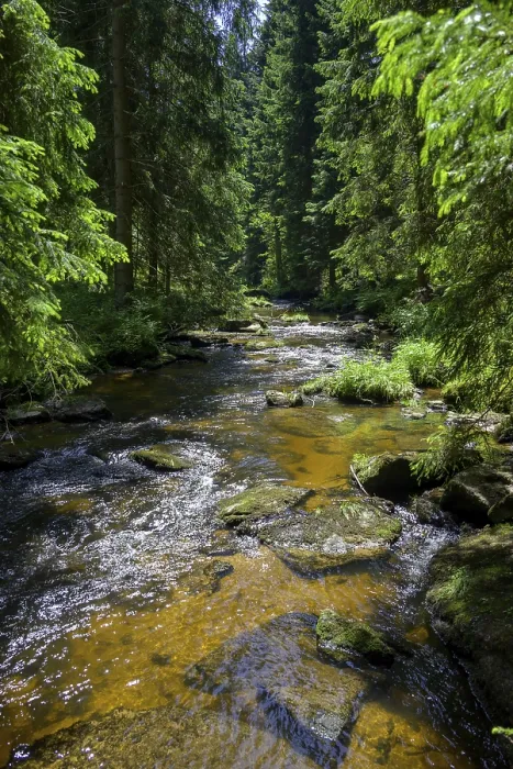 Gerahmter Druck : Hollfall, Großer Kamp Gerahmter Druck : Hollfall, Großer Kamp