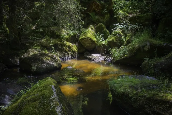 Gerahmter Druck : Hollfall, Großer Kamp Gerahmter Druck : Hollfall, Großer Kamp