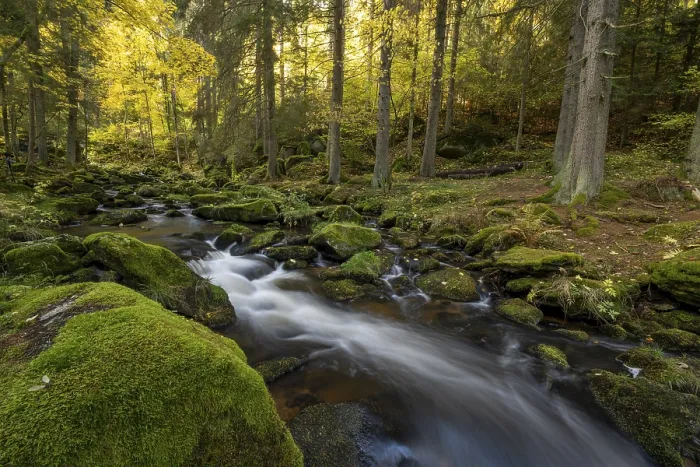 Gerahmter Druck : Hollfaller Flussverlauf im Herbst. Gerahmter Druck : Hollfaller Flussverlauf im Herbst.