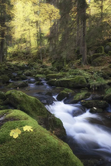 Gerahmter Druck : Hollfaller Flussverlauf im Herbst Gerahmter Druck : Hollfaller Flussverlauf im Herbst