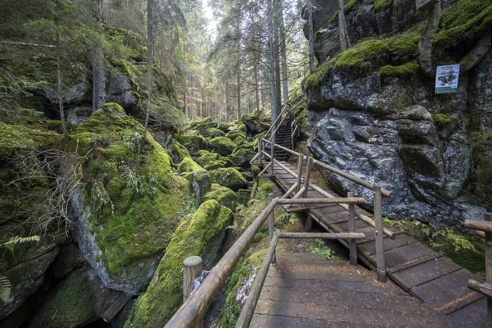 Gerahmter Druck : Holzsteig im Lohnbachfall, Lohn Gerahmter Druck : Holzsteig im Lohnbachfall, Lohn