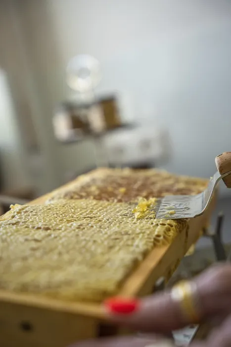 Gerahmter Druck : Honigwaben beim Bienenhalter, Schwarzwald. Gerahmter Druck : Honigwaben beim Bienenhalter, Schwarzwald.
