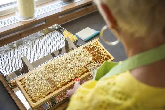 Gerahmter Druck : Im Bienenviertel im Schwarzwald. Gerahmter Druck : Im Bienenviertel im Schwarzwald.