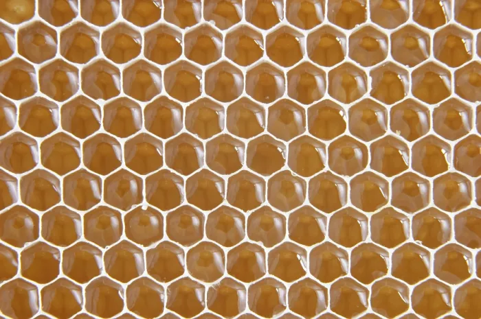 Gerahmter Druck : Honeycomb Gerahmter Druck : Honeycomb