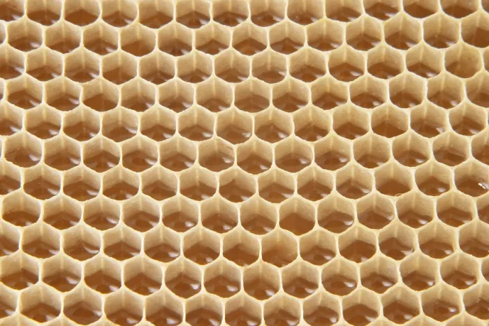Gerahmter Druck : Honeycomb Gerahmter Druck : Honeycomb