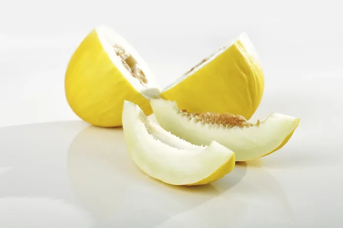 Gerahmter Druck : Honigdornmelonen Gerahmter Druck : Honigdornmelonen