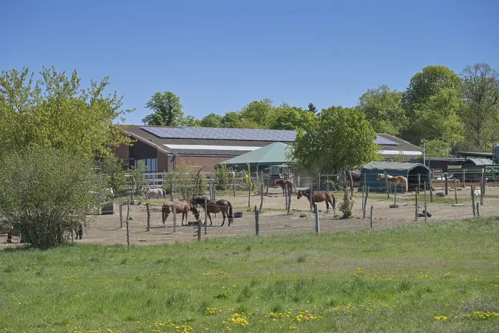 Gerahmter Druck : Pferde, Paddock, Reitanlage Gerahmter Druck : Pferde, Paddock, Reitanlage