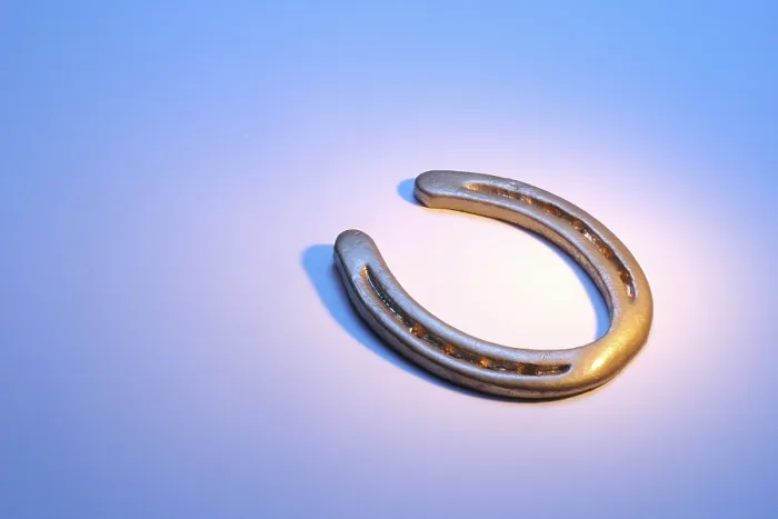 Gerahmter Druck : Horseshoe