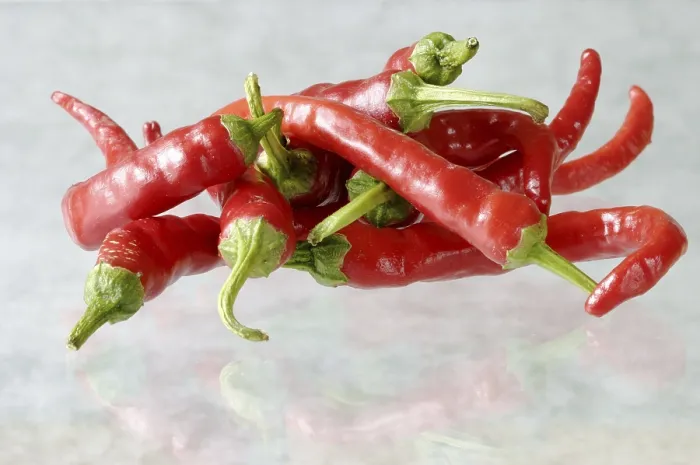 Gerahmter Druck : Scharfer roter Paprika Gerahmter Druck : Scharfer roter Paprika