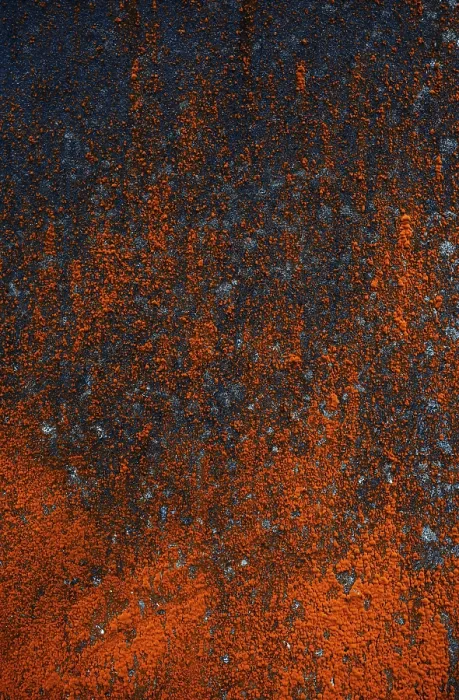Gerahmter Druck : Fassadenfassade mit roter Algenwachstum. Gerahmter Druck : Fassadenfassade mit roter Algenwachstum.
