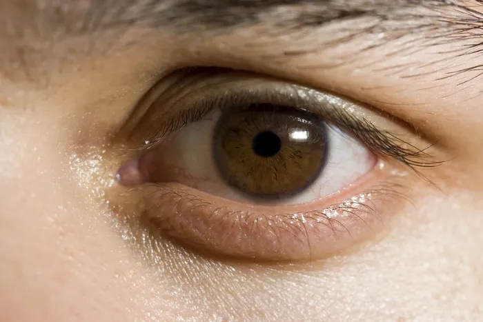 Gerahmter Druck : Das menschliche Auge in Nahansicht.