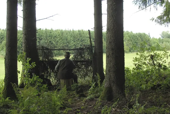 Gerahmter Druck : Ein Jäger hinter Tarnkleidung am Rande eines Waldes, Allgäu, Bayern, Deutschland Gerahmter Druck : Ein Jäger hinter Tarnkleidung am Rande eines Waldes, Allgäu, Bayern, Deutschland
