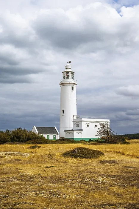 Gerahmter Druck : Hurst Point Leuchtturm und Hurst Castle Gerahmter Druck : Hurst Point Leuchtturm und Hurst Castle