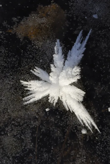 Gerahmter Druck : Eis Kristall auf einem Eisschild. Gerahmter Druck : Eis Kristall auf einem Eisschild.